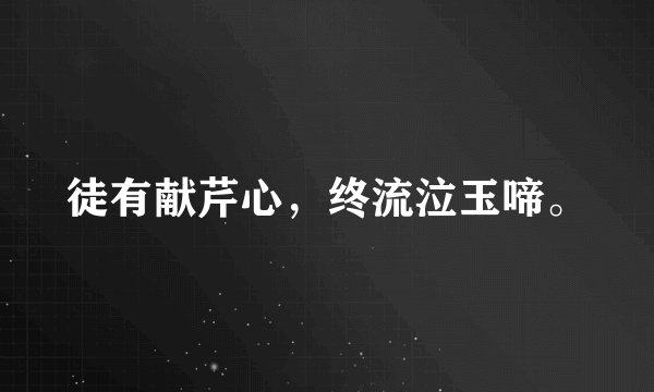 徒有献芹心，终流泣玉啼。