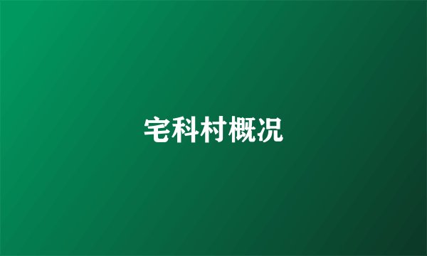 宅科村概况