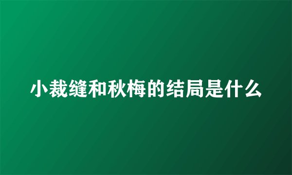 小裁缝和秋梅的结局是什么