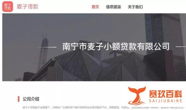 独家！麦子金服立案后续：旗下小贷公司停摆，黄大容等15人已被抓