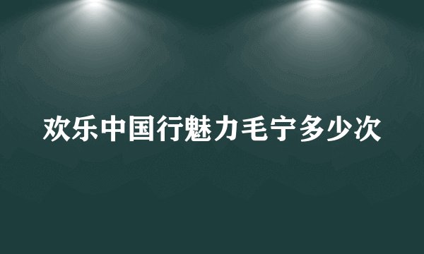 欢乐中国行魅力毛宁多少次