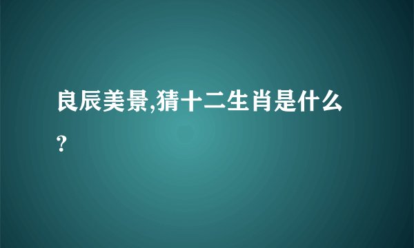 良辰美景,猜十二生肖是什么？