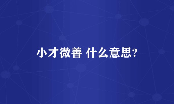小才微善 什么意思?