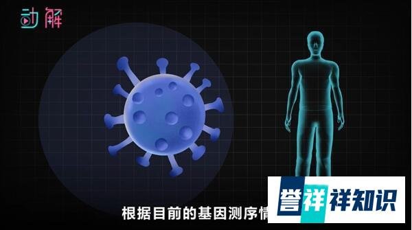 黑龙江本轮疫情150秒动画梳理 这是咋情况？