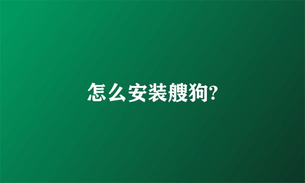 怎么安装艘狗?