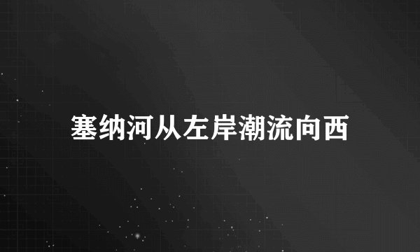 塞纳河从左岸潮流向西