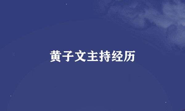黄子文主持经历
