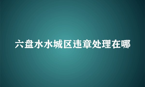 六盘水水城区违章处理在哪