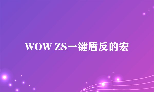 WOW ZS一键盾反的宏