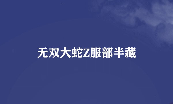 无双大蛇Z服部半藏