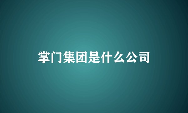 掌门集团是什么公司