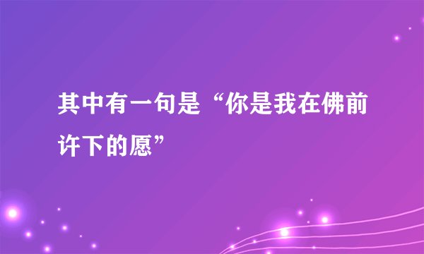 其中有一句是“你是我在佛前许下的愿”