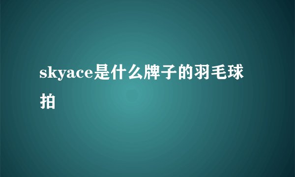 skyace是什么牌子的羽毛球拍