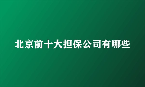 北京前十大担保公司有哪些