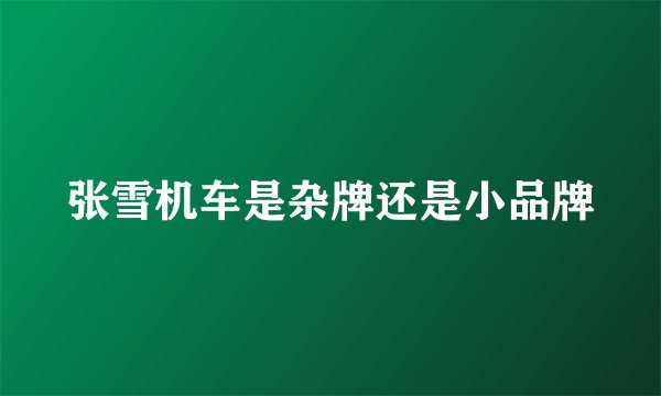 张雪机车是杂牌还是小品牌