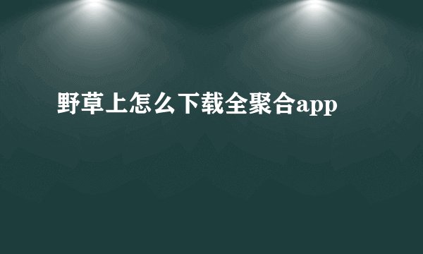 野草上怎么下载全聚合app