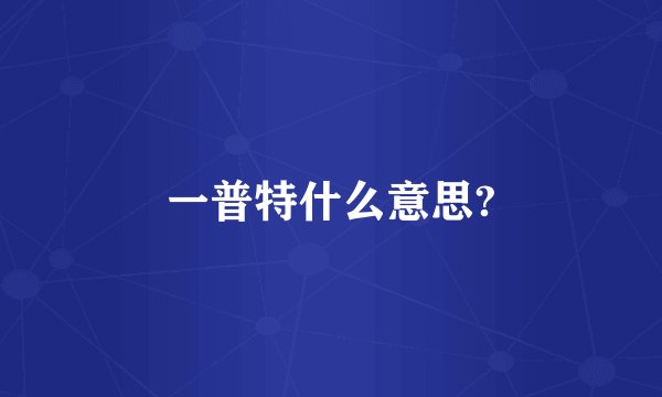 一普特什么意思?