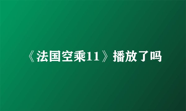 《法国空乘11》播放了吗