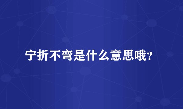 宁折不弯是什么意思哦？