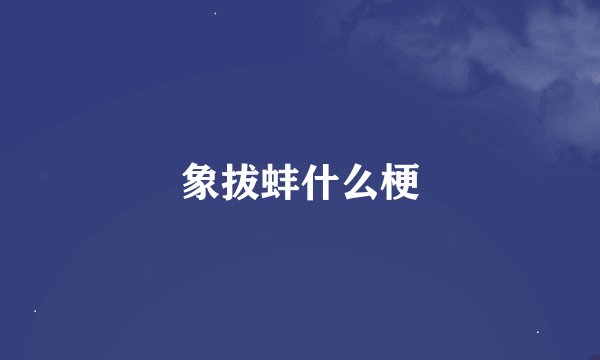 象拔蚌什么梗