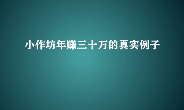 小作坊年赚三十万的真实例子