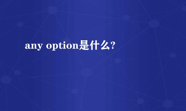 any option是什么?