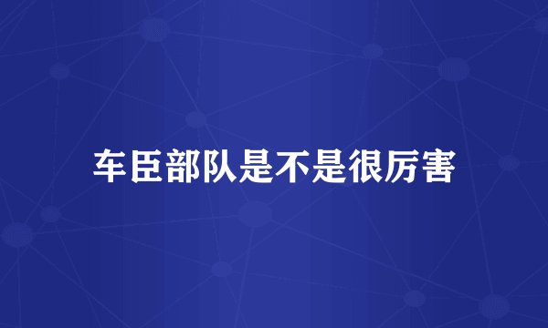 车臣部队是不是很厉害