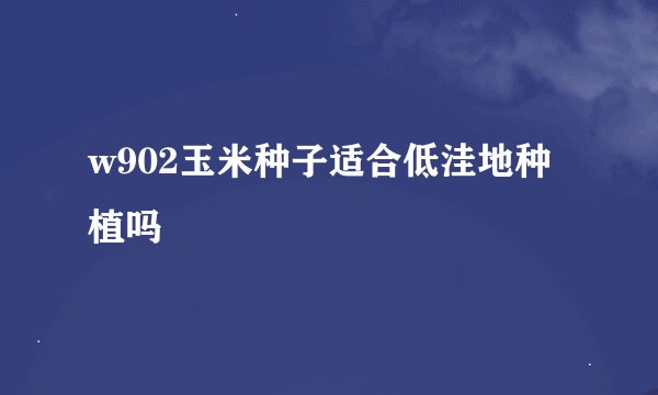 w902玉米种子适合低洼地种植吗