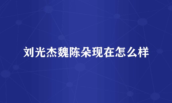 刘光杰魏陈朵现在怎么样