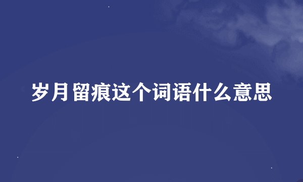 岁月留痕这个词语什么意思