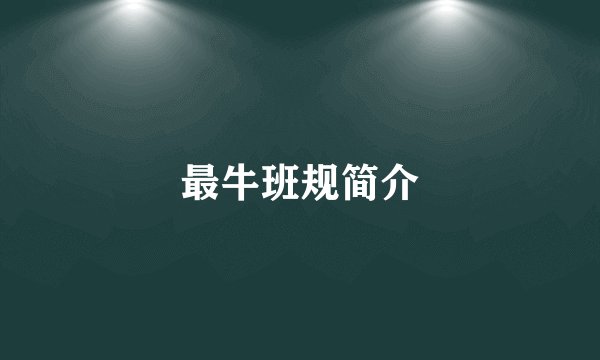 最牛班规简介