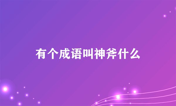 有个成语叫神斧什么