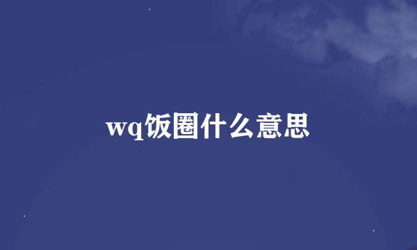 wq饭圈什么意思