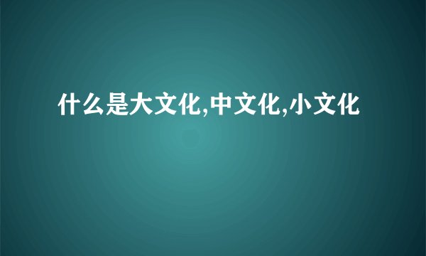 什么是大文化,中文化,小文化