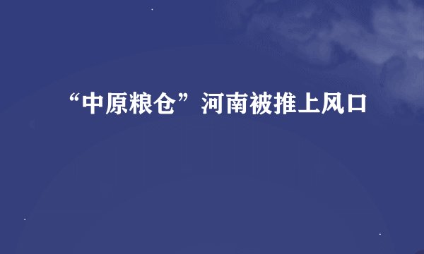 “中原粮仓”河南被推上风口