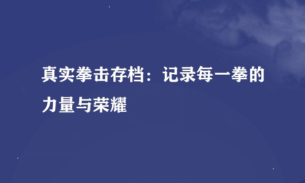 真实拳击存档：记录每一拳的力量与荣耀