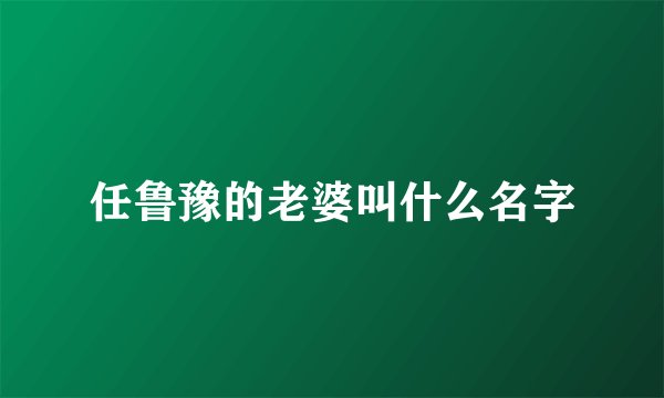 任鲁豫的老婆叫什么名字