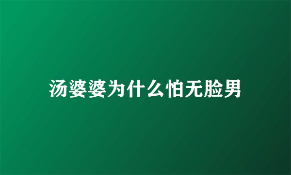 汤婆婆为什么怕无脸男