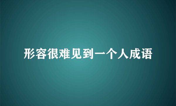形容很难见到一个人成语