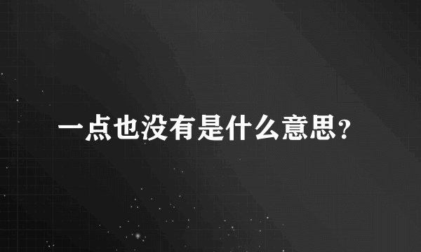 一点也没有是什么意思？