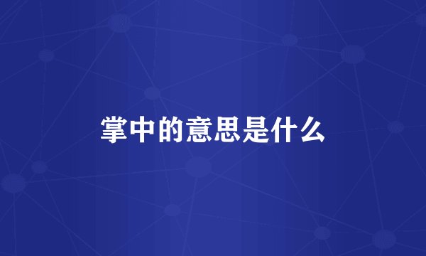 掌中的意思是什么