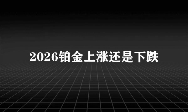 2026铂金上涨还是下跌