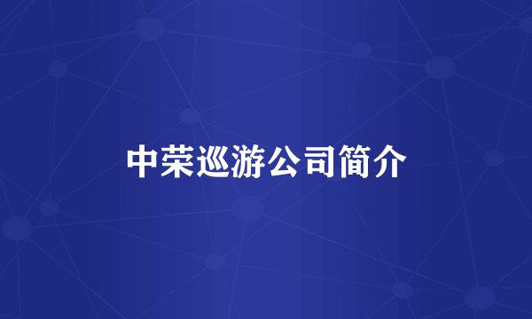 中荣巡游公司简介