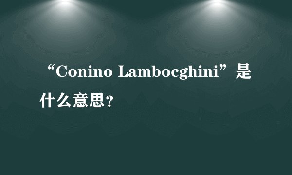 “Conino Lambocghini”是什么意思？