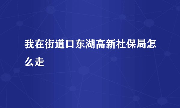 我在街道口东湖高新社保局怎么走