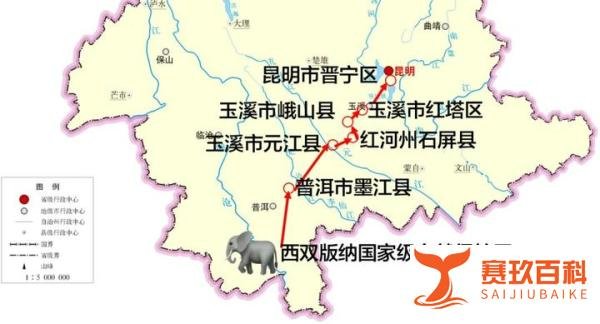 云南堵象人，我太难了！