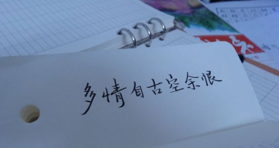 多情自古空余恨，好梦由来最易醒是什么意思？