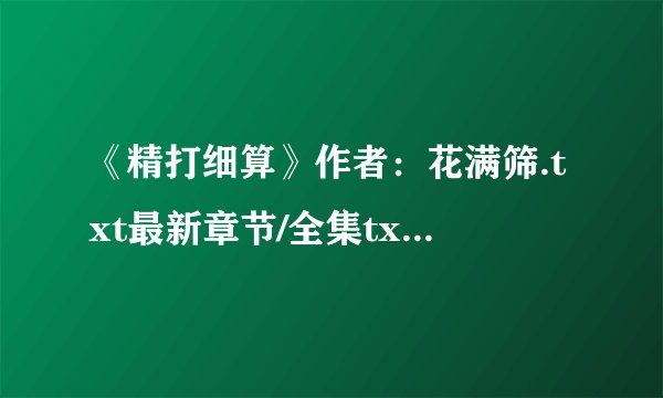 《精打细算》作者：花满筛.txt最新章节/全集txt免费下载