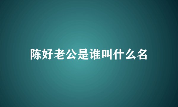 陈好老公是谁叫什么名