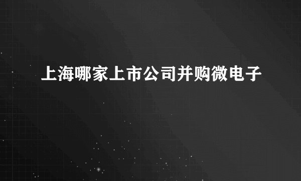 上海哪家上市公司并购微电子